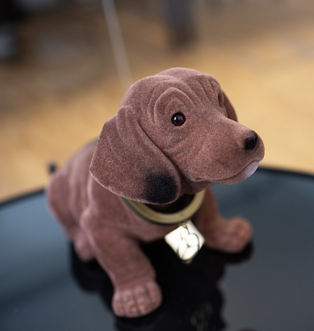 Hund Accessoire